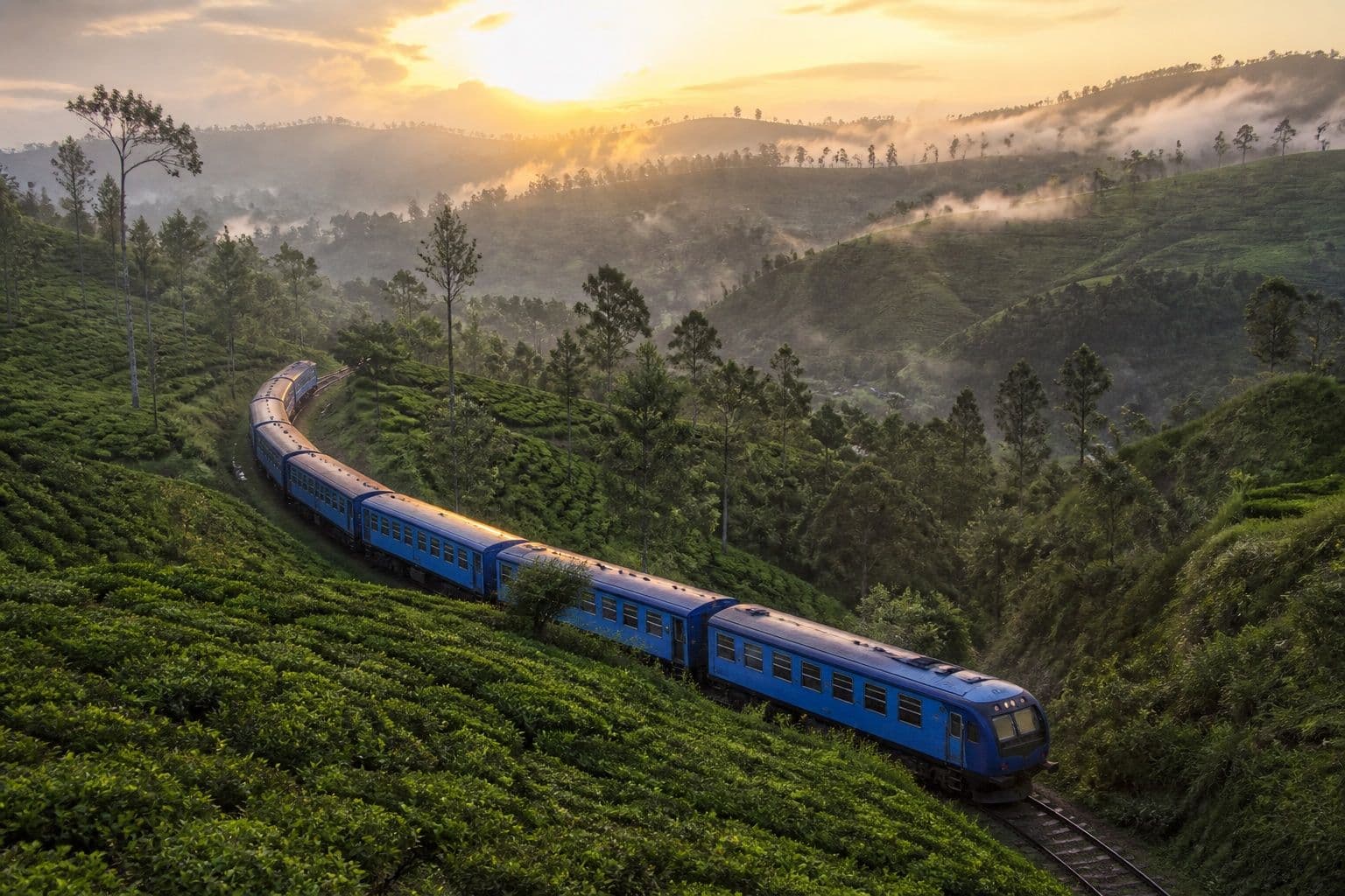 Blue train winding through misty Sri Lankan highland tea plantations