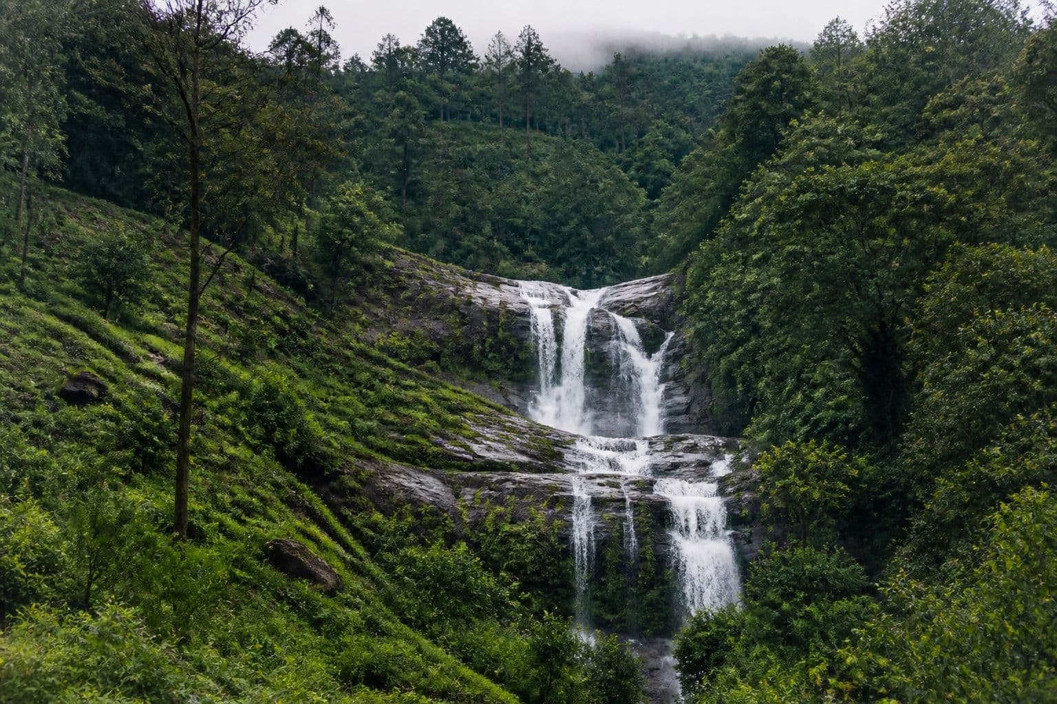 Waterfall cascading through hill-country forest