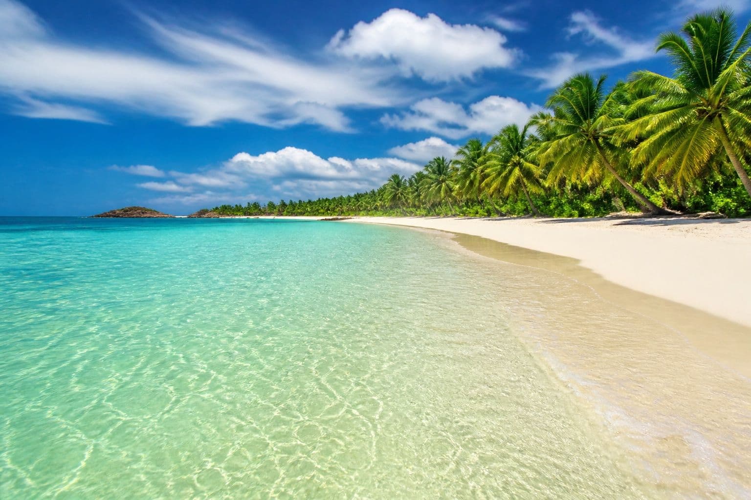 Turquoise east-coast lagoon and palm shoreline in Sri Lanka