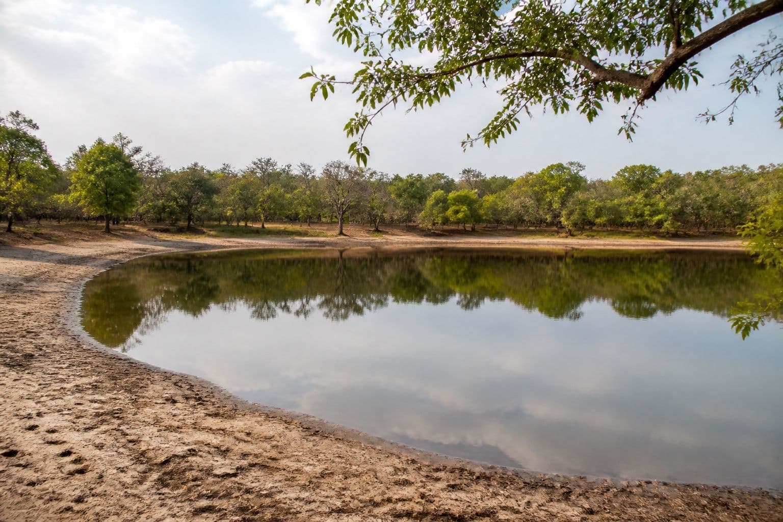 Quiet willu lake in Wilpattu National Park