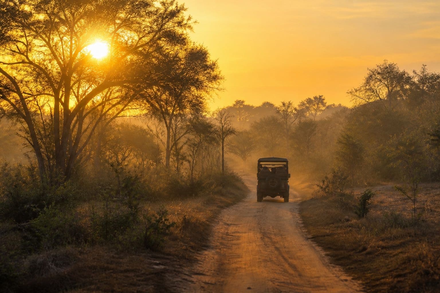 Safari jeep on a dusty track in Yala