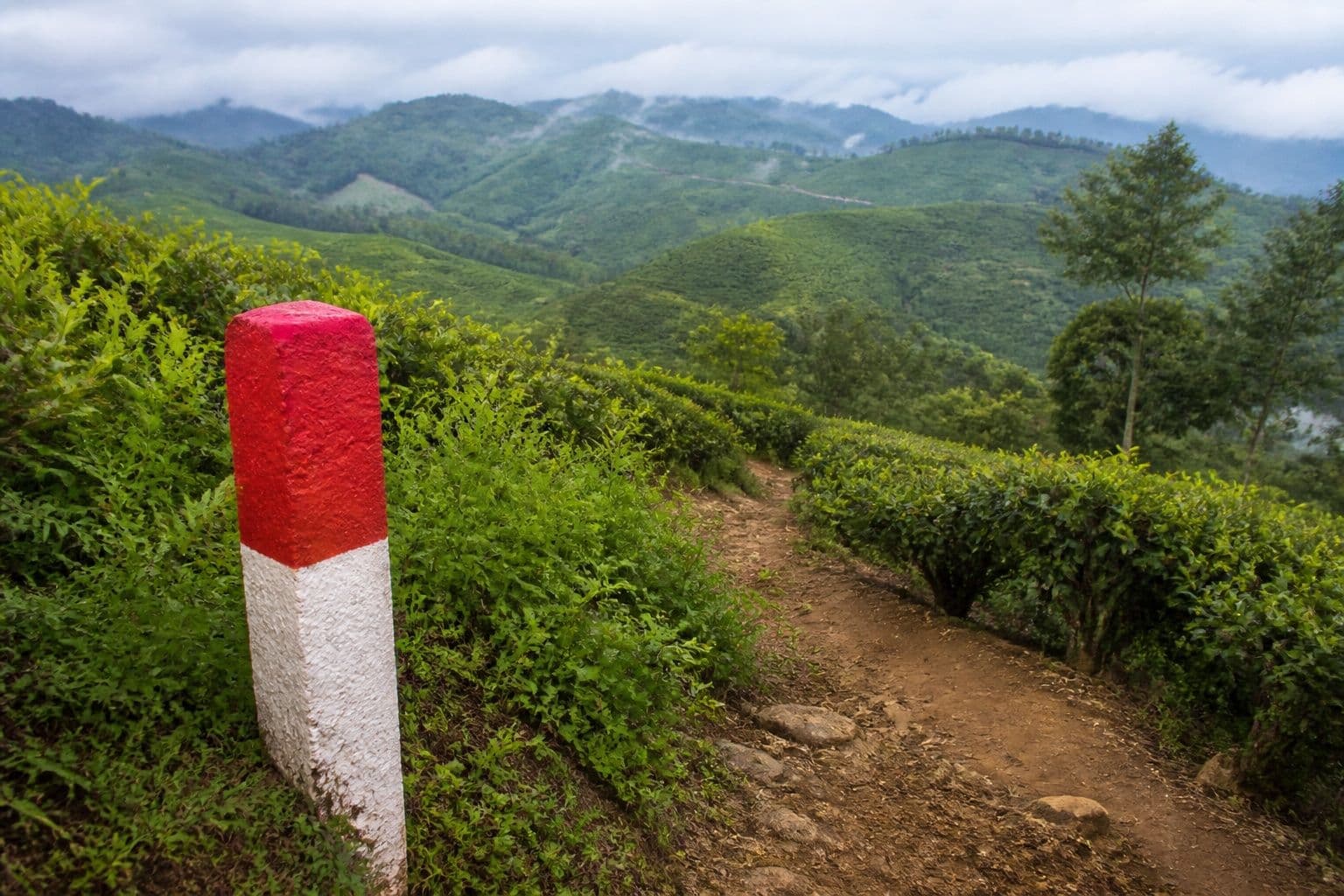 Trail marker on a misty Pekoe Trail tea plantation path