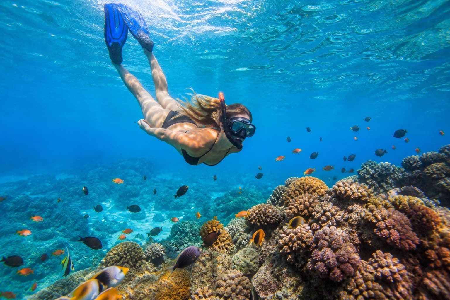 Snorkeling over a colourful coral reef on Sri Lanka’s east coast